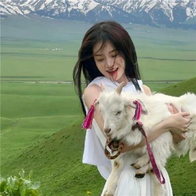 摩天楼 在线观看