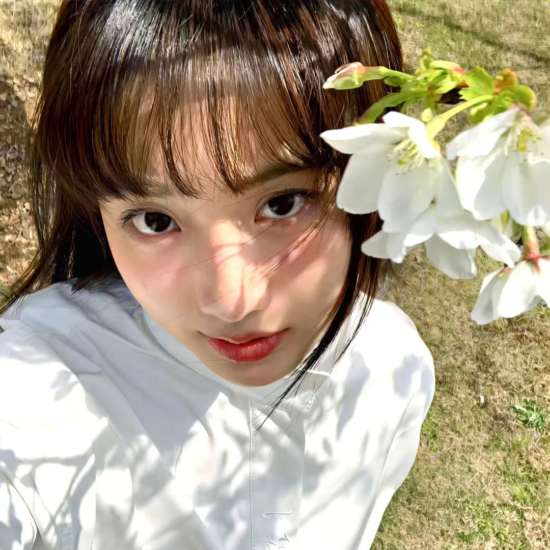 白鸟：奇迹 在线观看